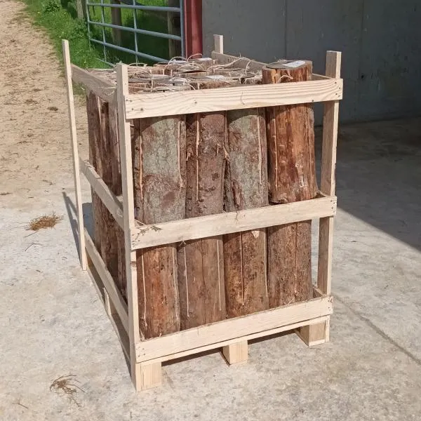 testLot de  15 Torches suèdoises 1 mètre - 3 heures