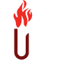 La Bûche Scandinave